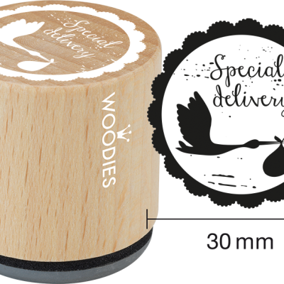 Ștampilă Woodies Special delivery – WE6003